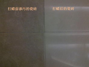 九洲国际官网-相信品牌力量
