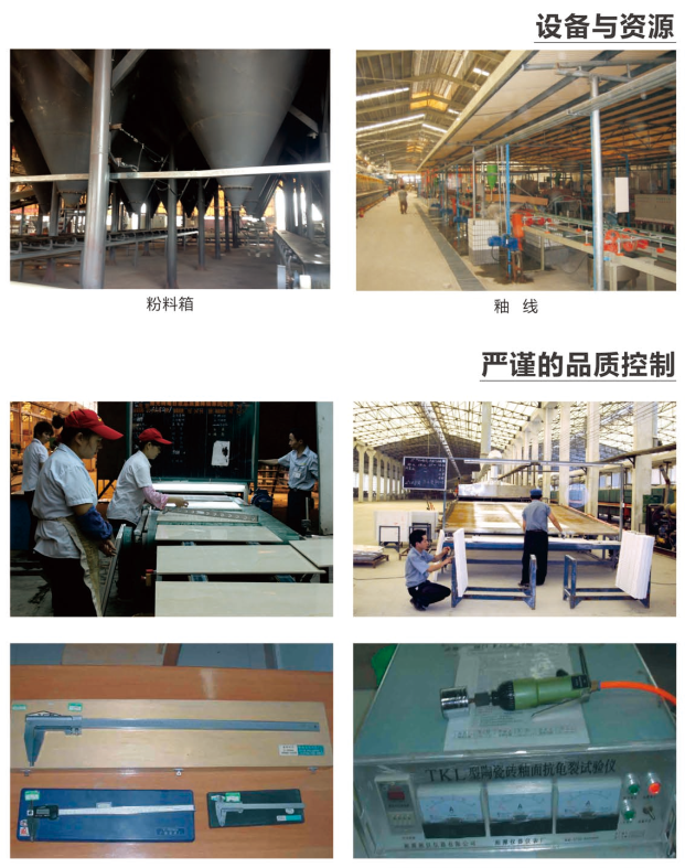 20210306164226317 九洲国际官网-相信品牌力量
