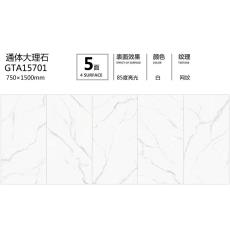 GTA15701定造